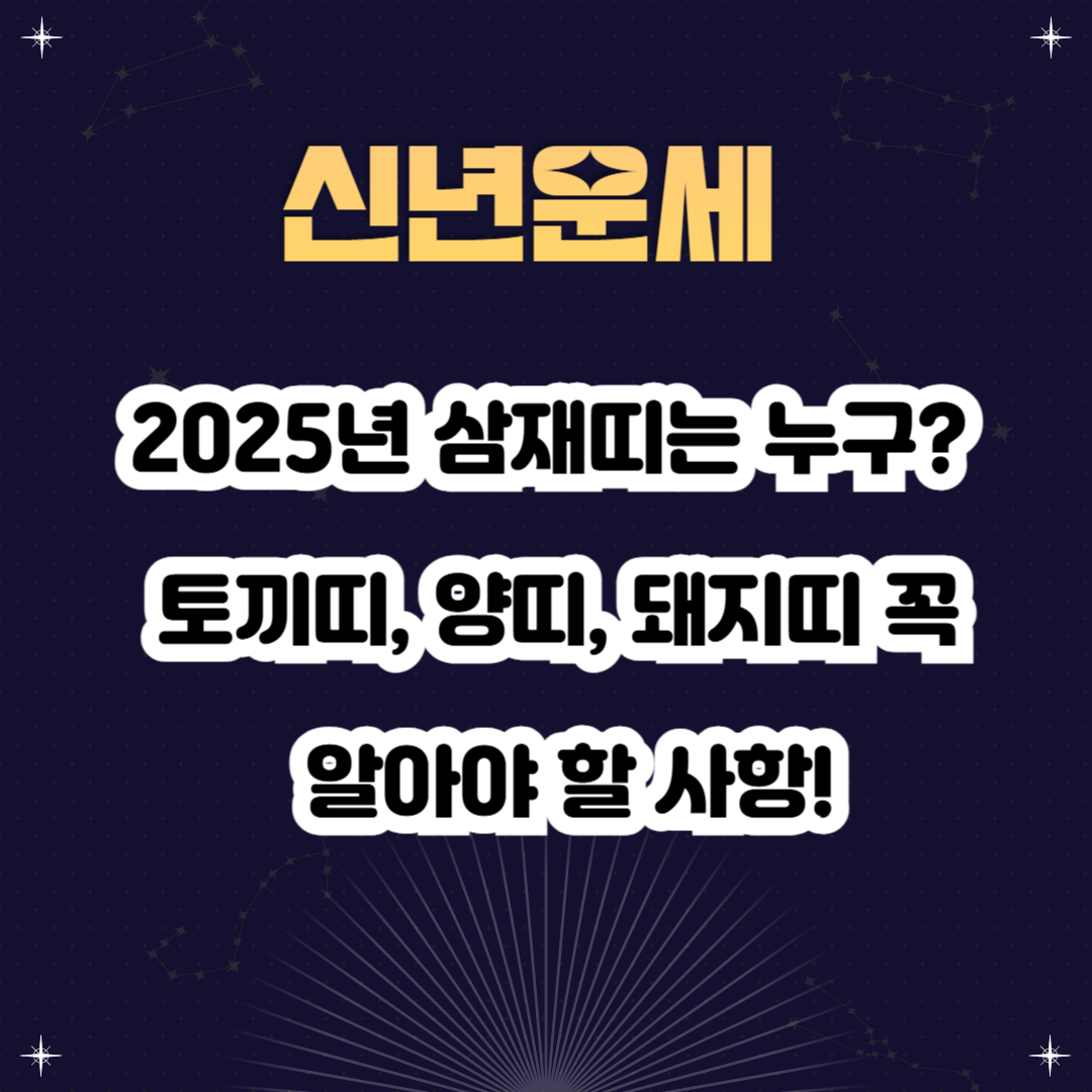 2025년 삼재: 토끼띠, 양띠, 돼지띠의 영향 분석
